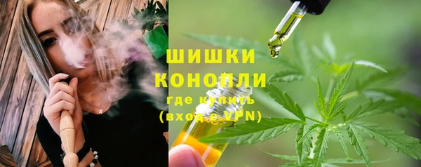 PSILOCYBIN Заволжье