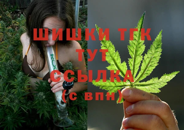 не бодяженный Пересвет