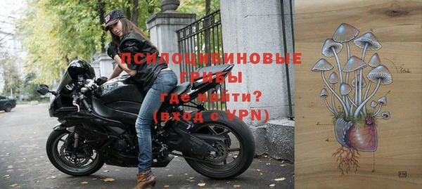 стаф Щёлкино