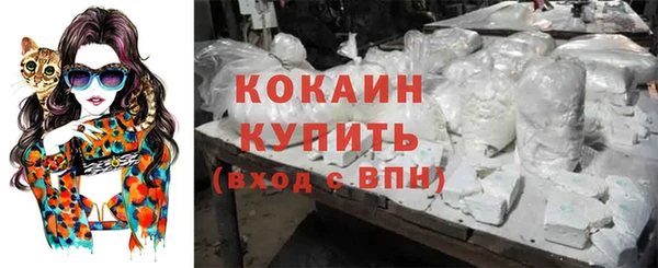 круглые Осинники