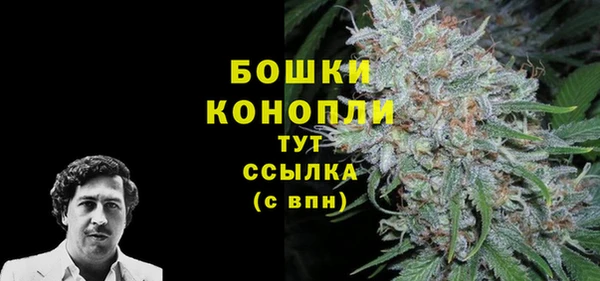 не бодяженный Пересвет