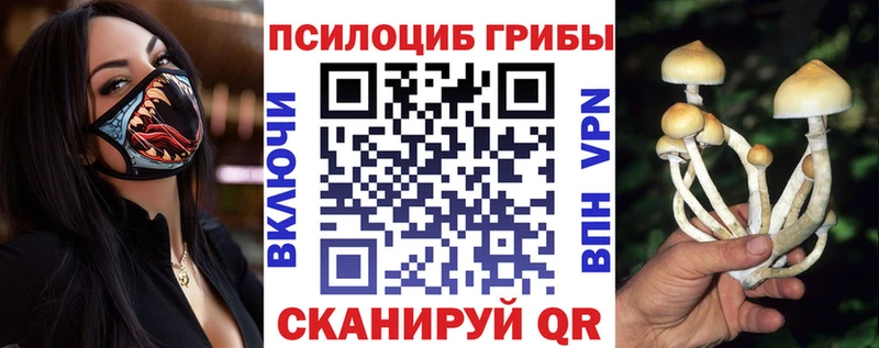 Псилоцибиновые грибы мухоморы  маркетплейс какой сайт  Баксан 