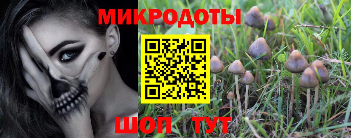 Баксан  Галлюциногенные грибы Cubensis  Вход с VPN  Галлюциногенные грибы Psilocybe 