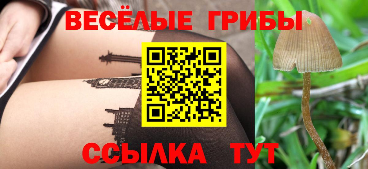 что такое наркотик  Баксан  Псилоцибиновые грибы прущие грибы 